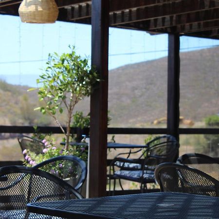 Vinas Del Castillo Ensenada Kültér fotó